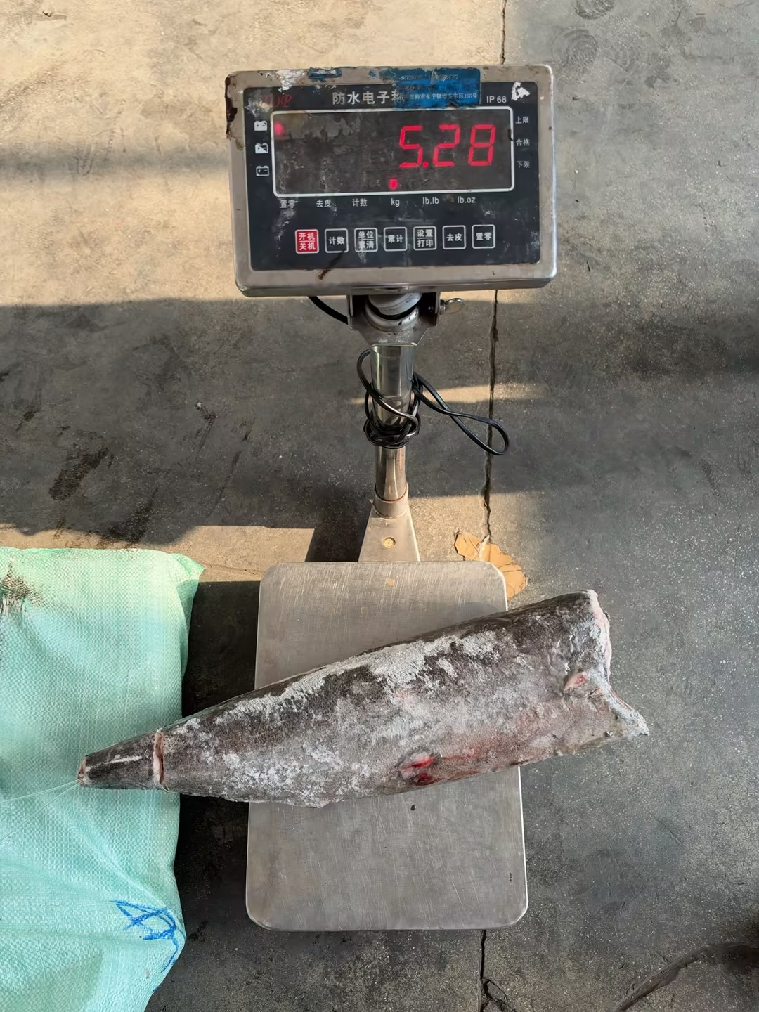Frozen Oilfish Sooth Skin（Lepidocybium flavobrunneum）