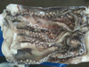 Squid Head