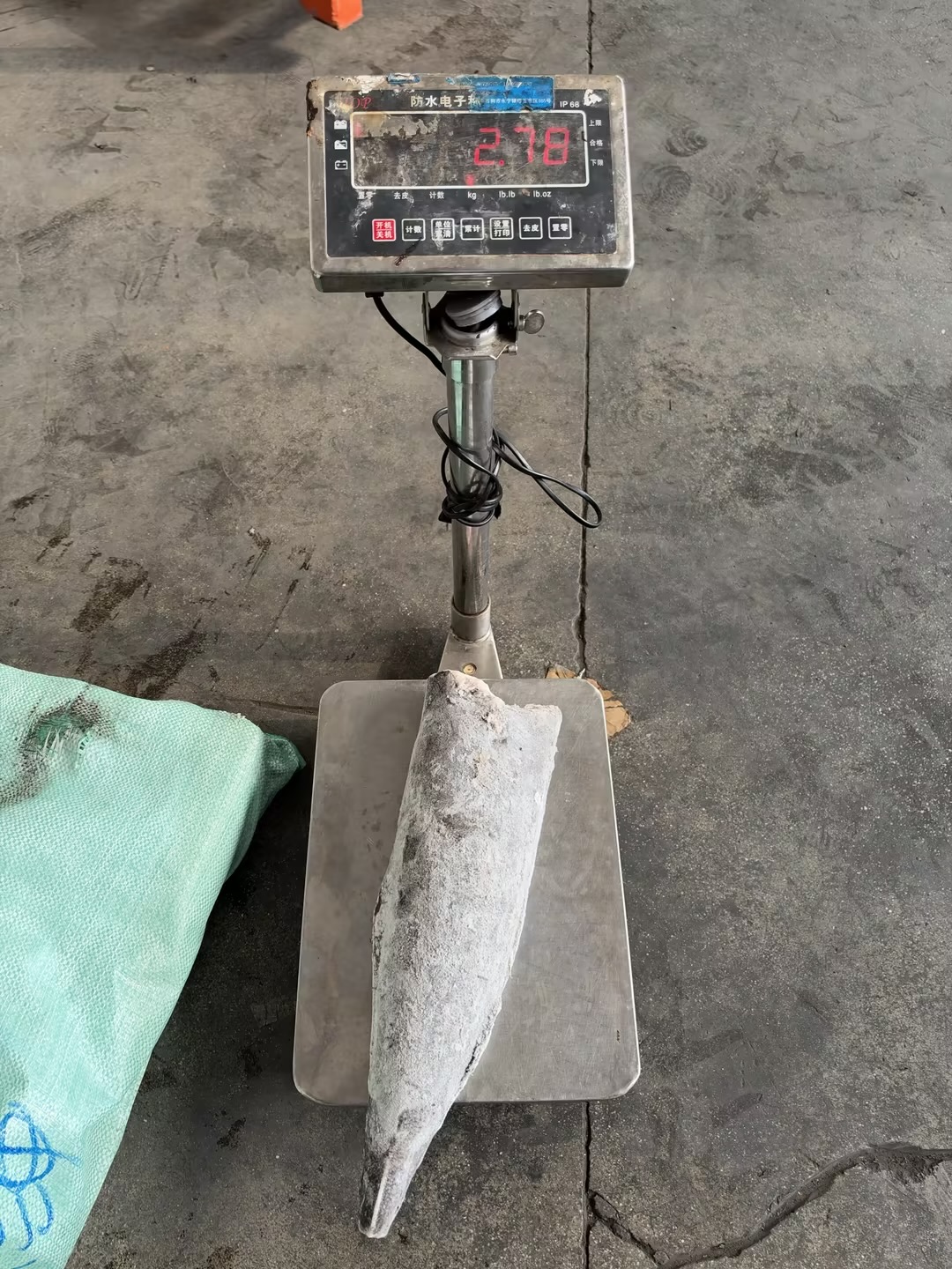 Frozen Oilfish Sooth Skin（Lepidocybium flavobrunneum）
