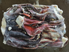 Squid Head