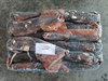Giant Squid