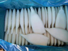 Squid Tube