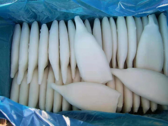 Squid Tube