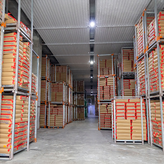 Cold Storage