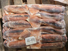 Illex Squid